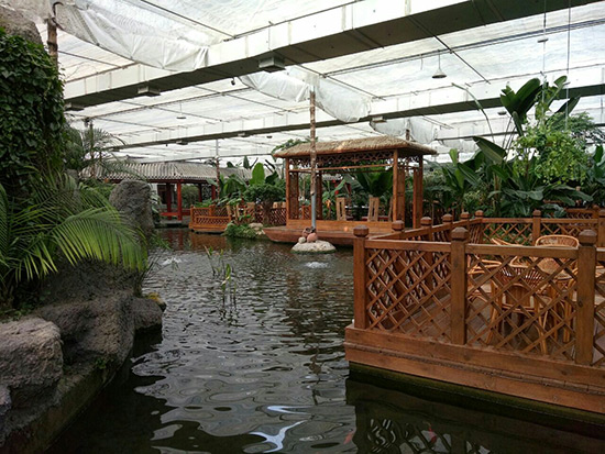 溫室公司中常見的生態(tài)餐廳種類