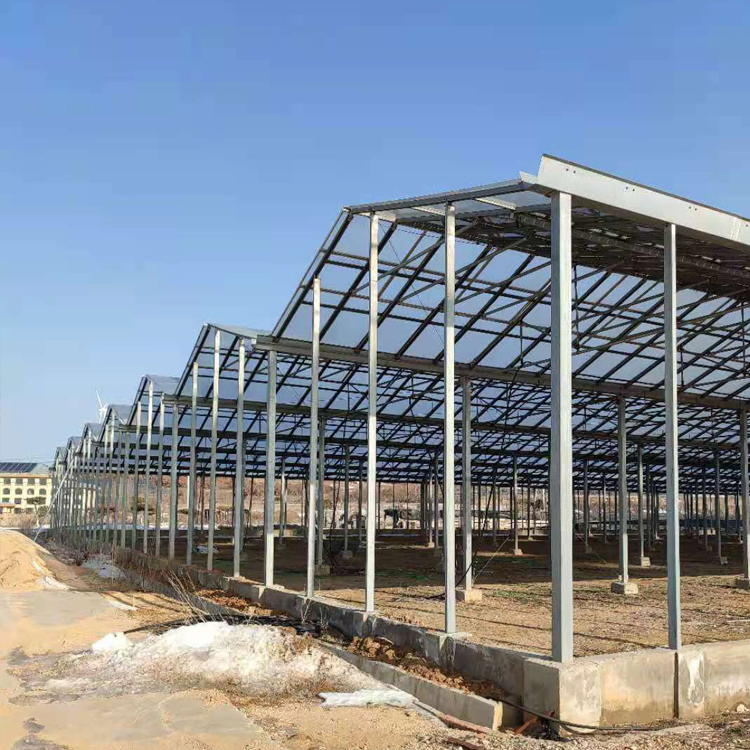 溫室公司分享農(nóng)業(yè)溫室大棚建多大比較合適？